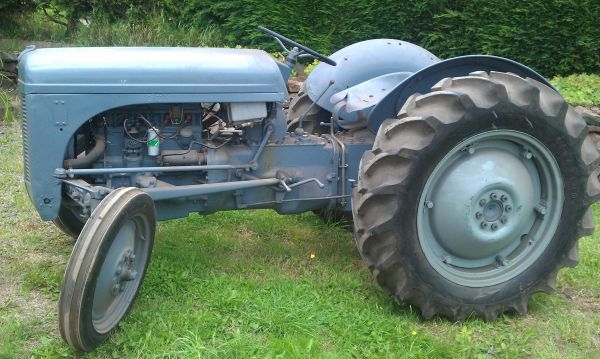 Ferguson T20