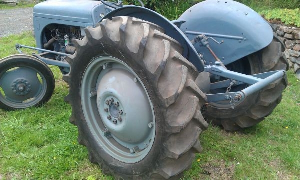 Ferguson T20
