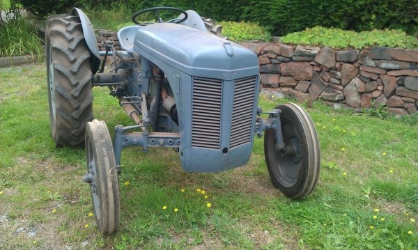 Ferguson T20