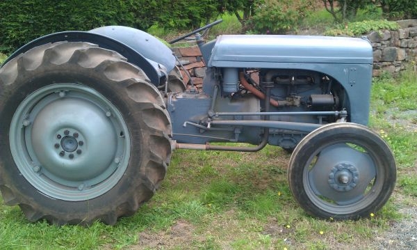 Ferguson T20